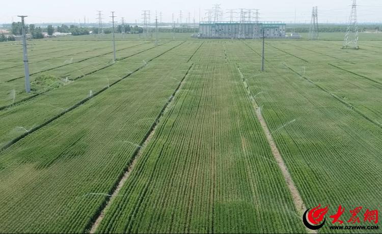 奋进潍坊·开新局丨强治理 守安全 惠民生 以水为笔绘就2025奋进新篇章MK体育(图3)