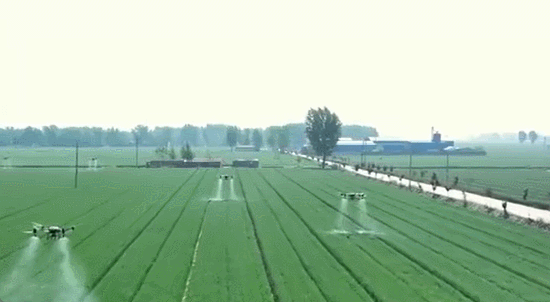 精准施策多地全MK体育力以赴缓旱情(图4)